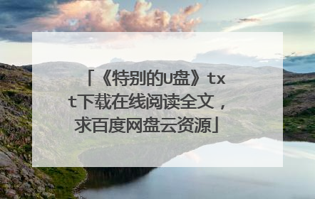 《特别的U盘》txt下载在线阅读全文,求百度网盘云资源