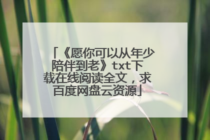 《愿你可以从年少陪伴到老》txt下载在线阅读全文，求百度网盘云资源