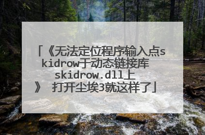 《无法定位程序输入点skidrow于动态链接库skidrow.dll上》 打开尘埃3就这样了
