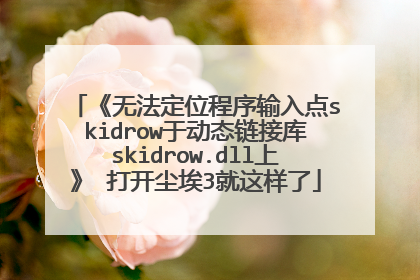 《无法定位程序输入点skidrow于动态链接库skidrow.dll上》 打开尘埃3就这样了