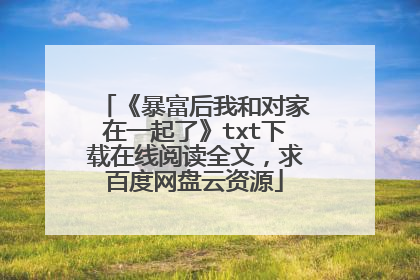 《暴富后我和对家在一起了》txt下载在线阅读全文,求百度网盘云资源