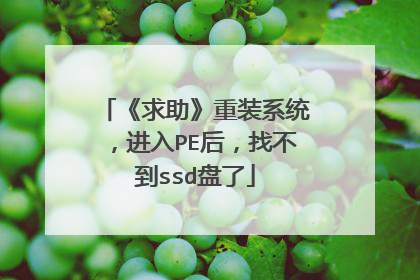 《求助》重装系统,进入PE后,找不到ssd盘了