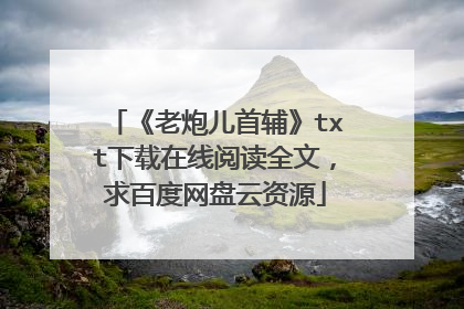 《老炮儿首辅》txt下载在线阅读全文，求百度网盘云资源