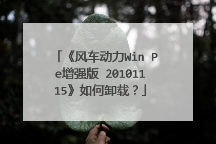 《风车动力Win Pe增强版 20101115》如何卸载？