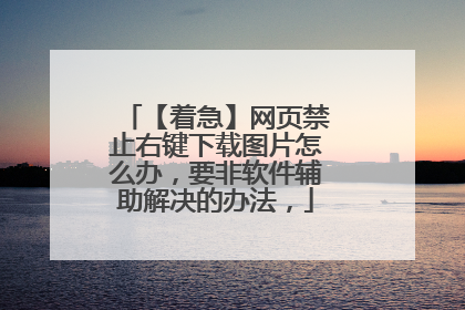 【着急】网页禁止右键下载图片怎么办，要非软件辅助解决的办法，