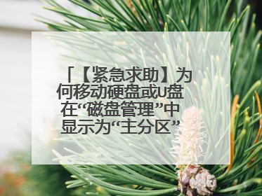 【紧急求助】为何移动硬盘或U盘在“磁盘管理”中显示为“主分区”?是不是将它设为活动并且U盘也复制有...