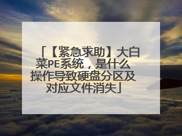 【紧急求助】大白菜PE系统，是什么操作导致硬盘分区及对应文件消失