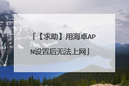 【求助】用海卓APN设置后无法上网