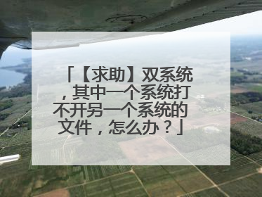 【求助】双系统,其中一个系统打不开另一个系统的文件,怎么办?