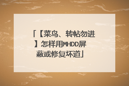 【菜鸟、转帖勿进】怎样用MHDD屏蔽或修复坏道
