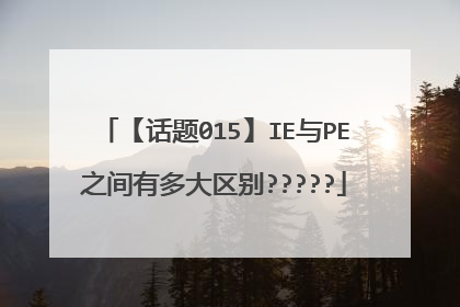 【话题015】IE与PE之间有多大区别?????