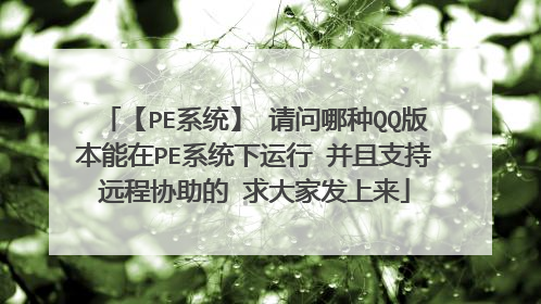 【PE系统】 请问哪种QQ版本能在PE系统下运行 并且支持远程协助的 求大家发上来