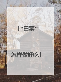 “白菜” 怎样做好吃