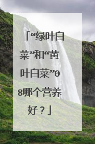 “绿叶白菜”和“黄叶白菜”08哪个营养好?