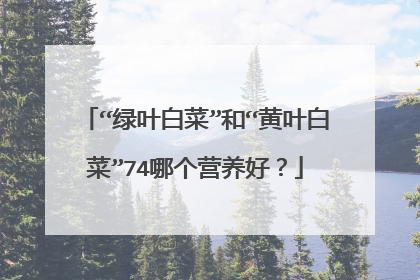 “绿叶白菜”和“黄叶白菜”74哪个营养好?