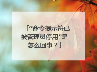 “命令提示符已被管理员停用”是怎么回事?