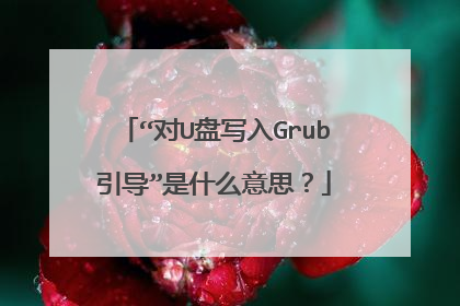 “对U盘写入Grub引导”是什么意思？