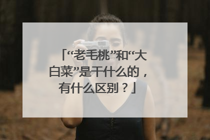 “老毛桃”和“大白菜”是干什么的,有什么区别?