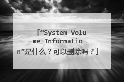 “System Volume Information”是什么?可以删除吗?