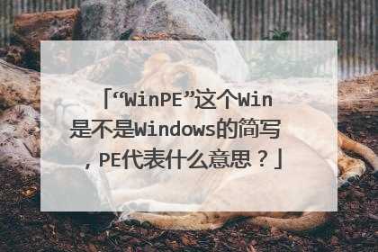 “WinPE”这个Win是不是Windows的简写,PE代表什么意思?