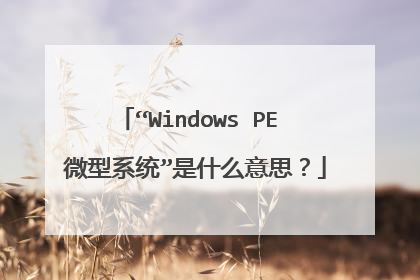 “Windows PE 微型系统”是什么意思?