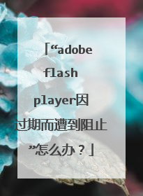 “adobe flash player因过期而遭到阻止”怎么办?