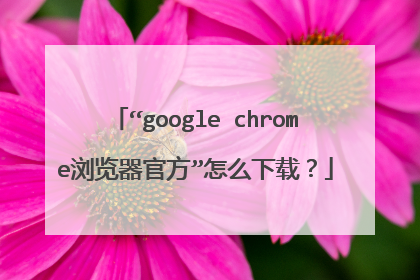 “google chrome浏览器官方”怎么下载?