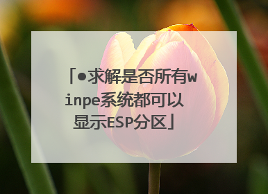 ●求解是否所有winpe系统都可以显示ESP分区