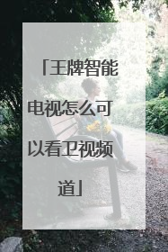 王牌智能电视怎么可以看卫视频道