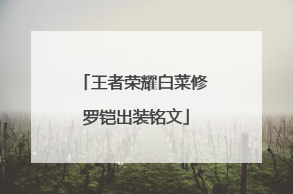 王者荣耀白菜修罗铠出装铭文