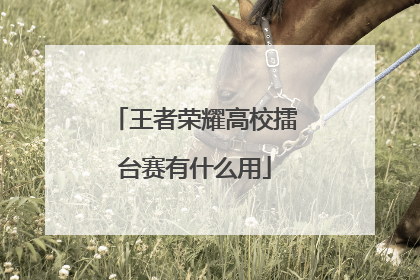 王者荣耀高校擂台赛有什么用