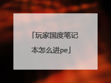 玩家国度笔记本怎么进pe
