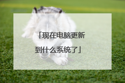 现在电脑更新到什么系统了
