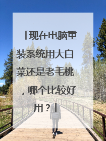 现在电脑重装系统用大白菜还是老毛桃，哪个比较好用？
