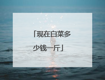 现在白菜多少钱一斤