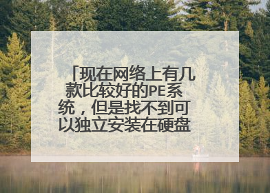 现在网络上有几款比较好的PE系统，但是找不到可以独立安装在硬盘中启动的。