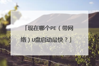 现在哪个PE(带网络)U盘启动最快?