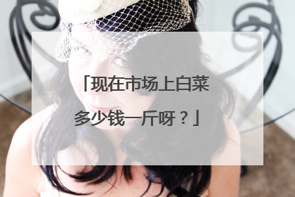 现在市场上白菜多少钱一斤呀？