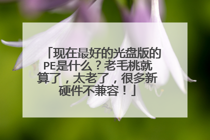 现在最好的光盘版的PE是什么？老毛桃就算了，太老了，很多新硬件不兼容！