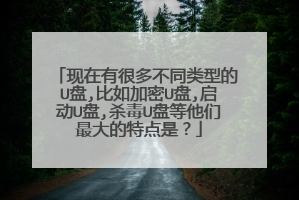 现在有很多不同类型的U盘,比如加密U盘,启动U盘,杀毒U盘等他们最大的特点是?
