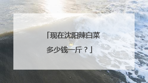 现在沈阳辣白菜多少钱一斤?