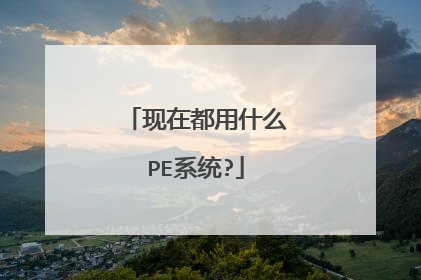 现在都用什么PE系统?