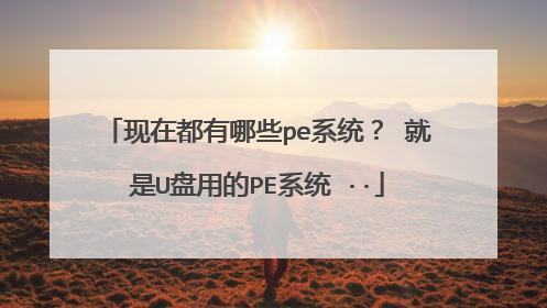 现在都有哪些pe系统? 就是U盘用的PE系统 ··