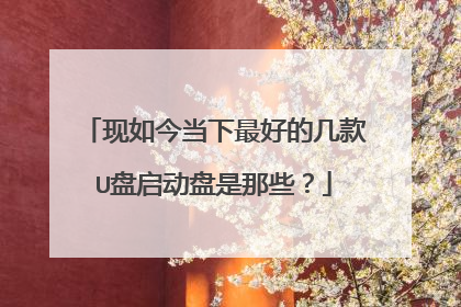 现如今当下最好的几款U盘启动盘是那些?