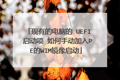 现有的电脑的 UEFI 启动项 如何手动加入PE的WIM镜像启动