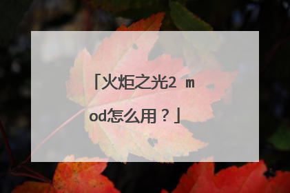 火炬之光2 mod怎么用?