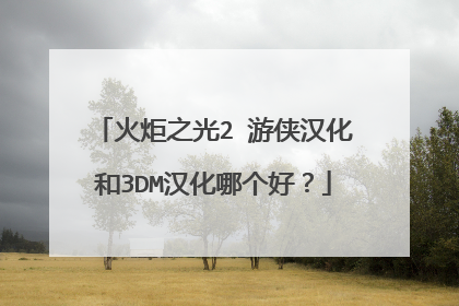 火炬之光2 游侠汉化和3DM汉化哪个好?