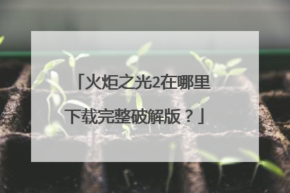 火炬之光2在哪里下载完整破解版?