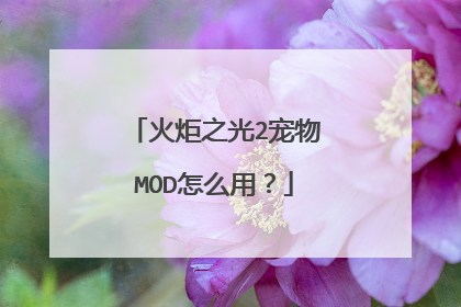 火炬之光2宠物MOD怎么用?