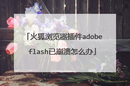 火狐浏览器插件adobe flash已崩溃怎么办